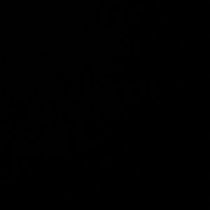 Meet your Posher, Destiny